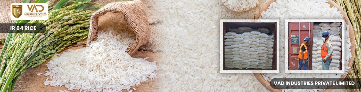 Rr66 Rice IR 64 Parboiled Rice Suppliers, Manufacturers And Exporters In India
