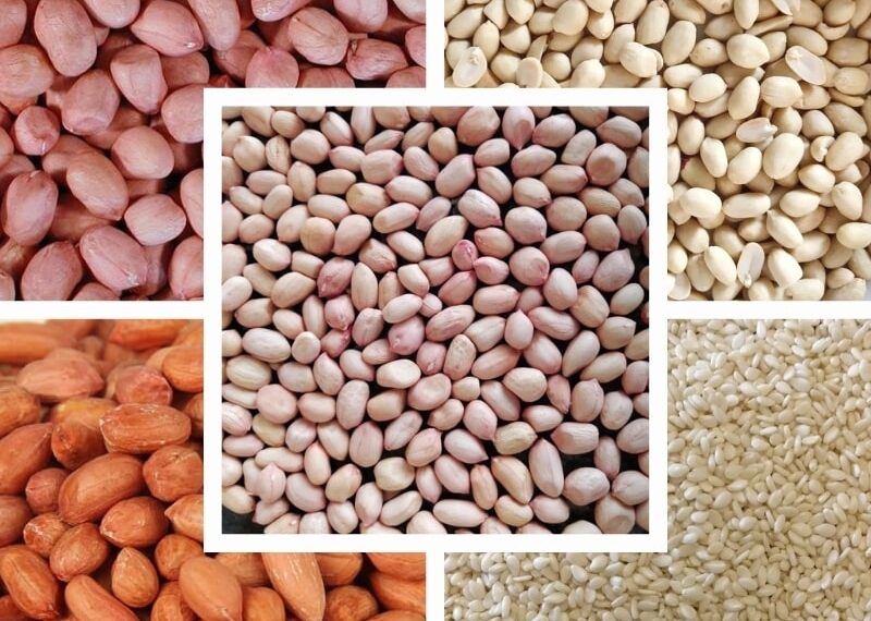 Oil Seeds - Oilseeds - Manufacturers - Suppliers - Exporters - Importers