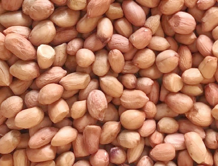 TJ Peanuts - Manufacturers - Suppliers - Exporters - Importers