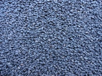 Black Sesame Seeds Manufacturers Suppliers Exporters Importers