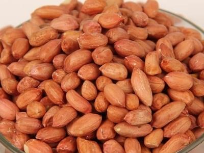 Bold peanuts Manufacturers Suppliers Exporters Importers