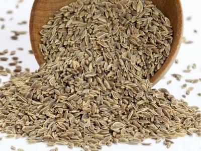Dill Seeds Manufacturers Suppliers Exporters Importers