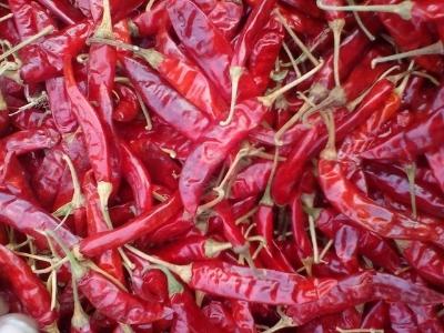 Dry Red Chilli Manufacturers Suppliers Exporters Importers