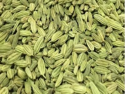 Fennel Seeds - Manufacturers - Suppliers - Exporters - Importers