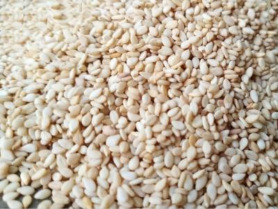 Natural White Sesame Seeds Manufacturers Suppliers Exporters Importers