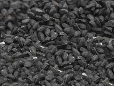 Nigella Seeds Black Seeds Kalonji Seeds Black Cumin Seeds Manufacturers Suppliers Exporters Importers