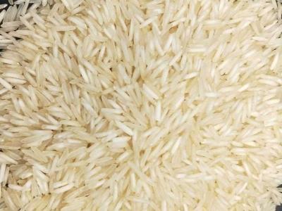 Sharbati Basmati Rice Manufacturers Suppliers Exporters Importer