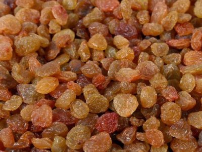 Malayar Raisins Manufacturers Suppliers Exporters Importers