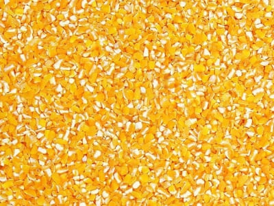 Corn Grits Manufacturers Suppliers Exporters Importers