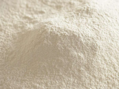 Guar Gum Powder Manufacturers Suppliers Exporters Importer