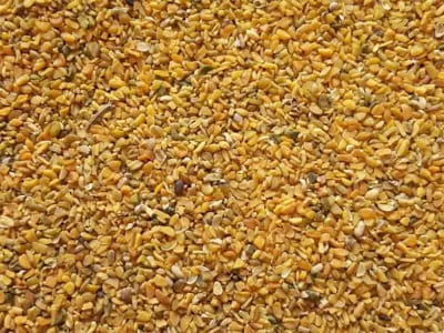 Guar Meal Korma Manufacturers Suppliers Exporters Importers