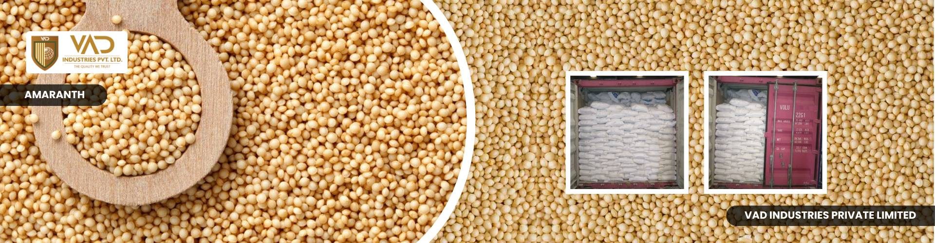 Amaranth - Manufacturers - Suppliers - Exporters - Importers