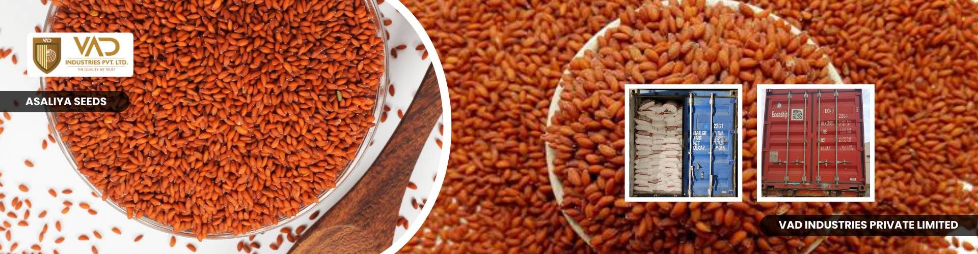 Asaliya Seeds - Manufacturers - Suppliers - Exporters - Importers