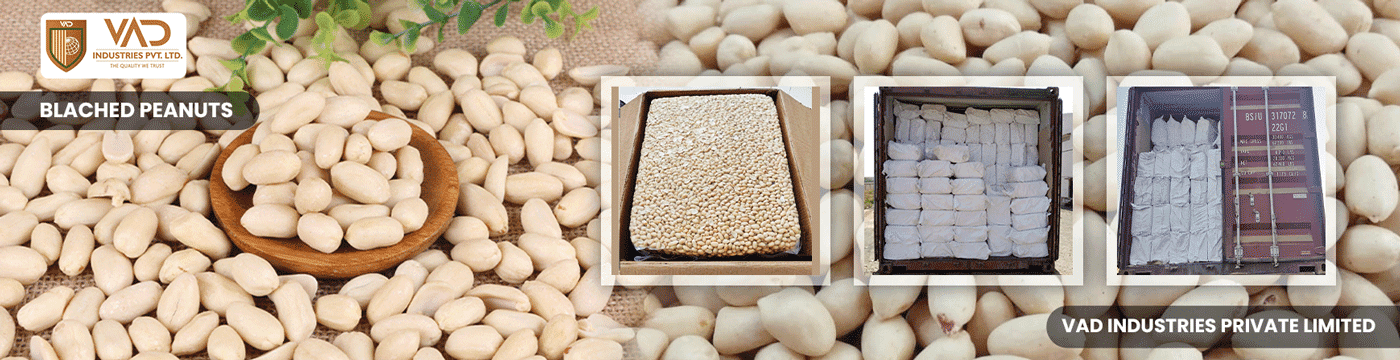 Blached Peanuts - Manufacturers - Suppliers - Exporters - Importers
