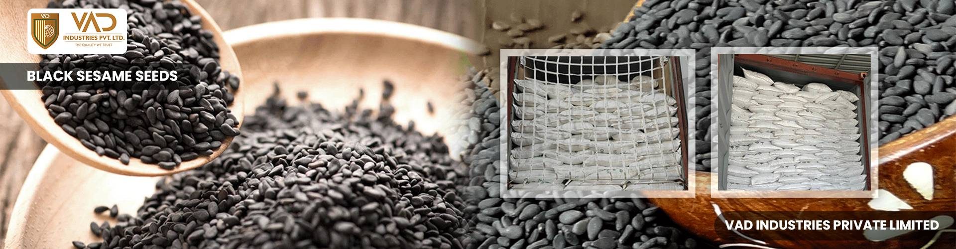 Black Sesame Seeds - Manufacturers - Suppliers - Exporters - Importers