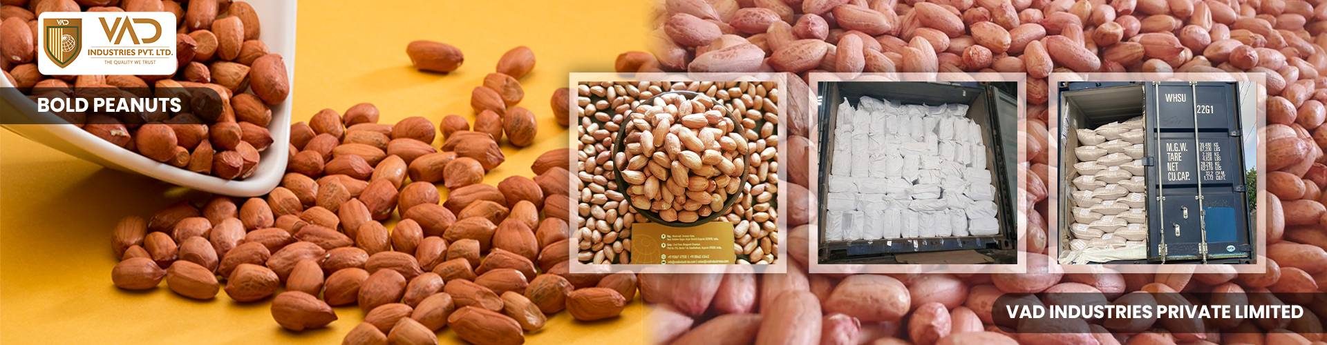 Bold peanuts - Manufacturers - Suppliers - Exporters - Importers