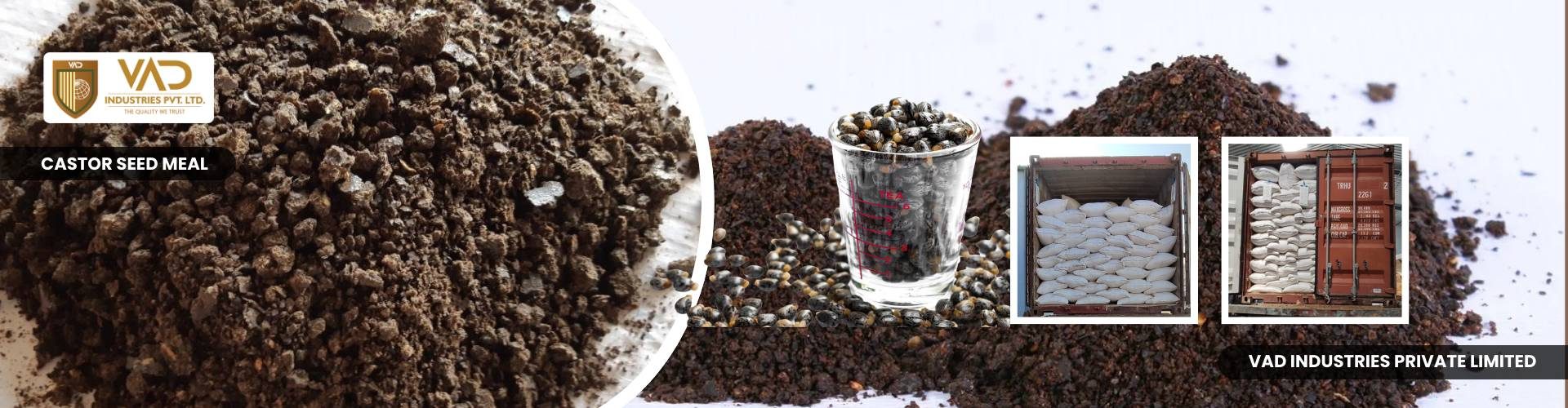 Castor Seed Meal - Manufacturers - Suppliers - Exporters - Importer