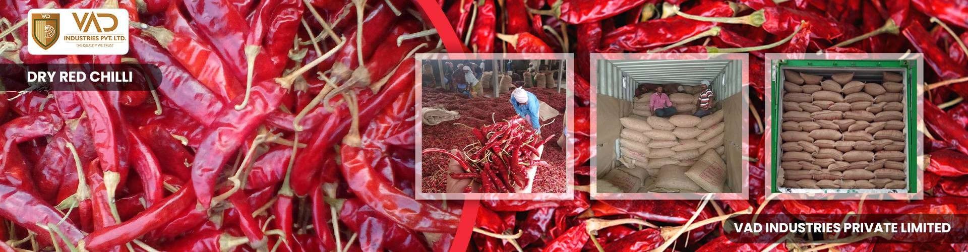 Dry Red Chilli - Manufacturers - Suppliers - Exporters - Importers