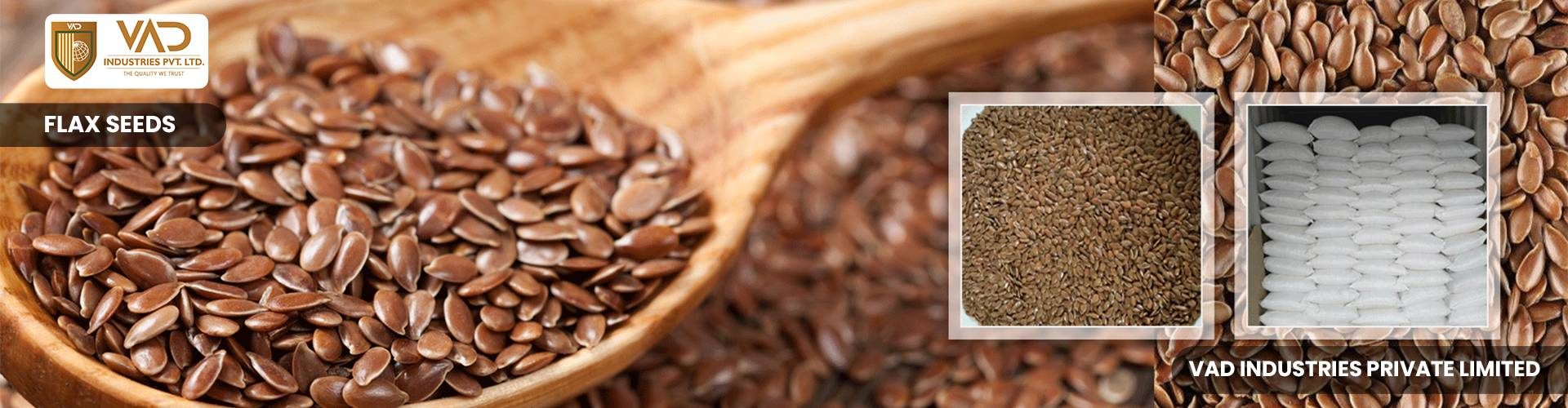 Flax Seeds - Manufacturers - Suppliers - Exporters - Importers