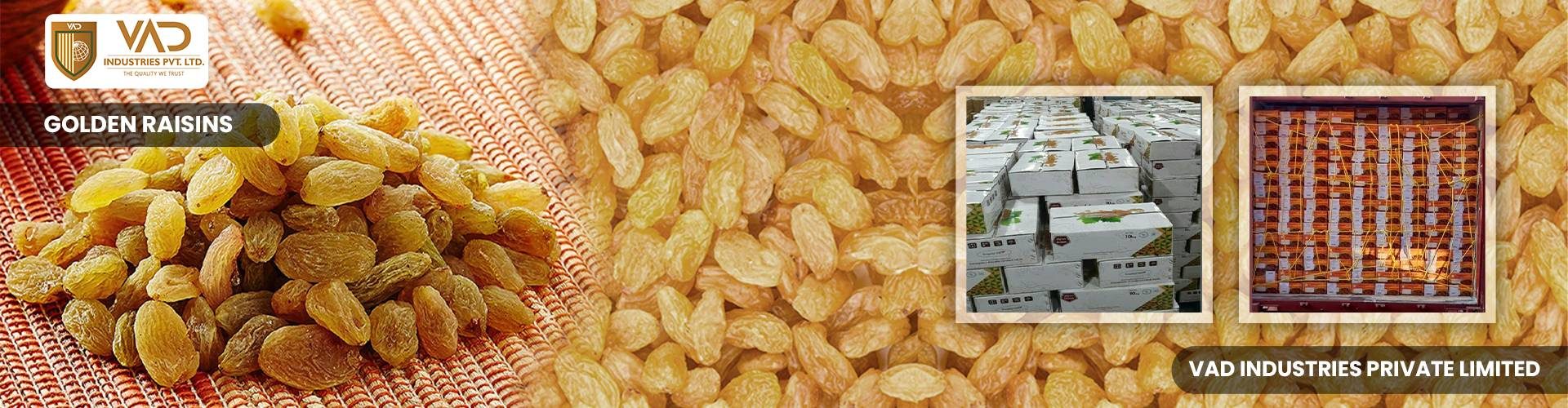Golden Raisins - Manufacturers - Suppliers - Exporters - Importers
