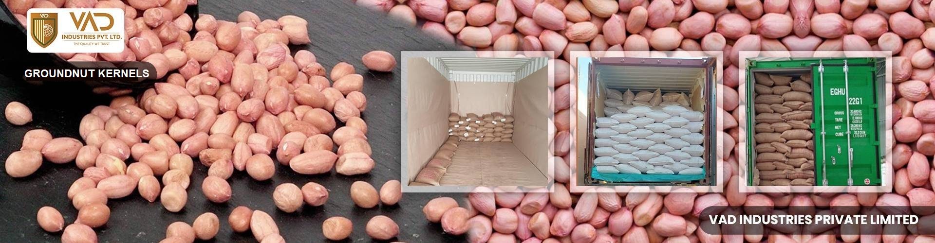Groundnut-Kernels-Suppliers-Manufacturers-Exporters-Importers