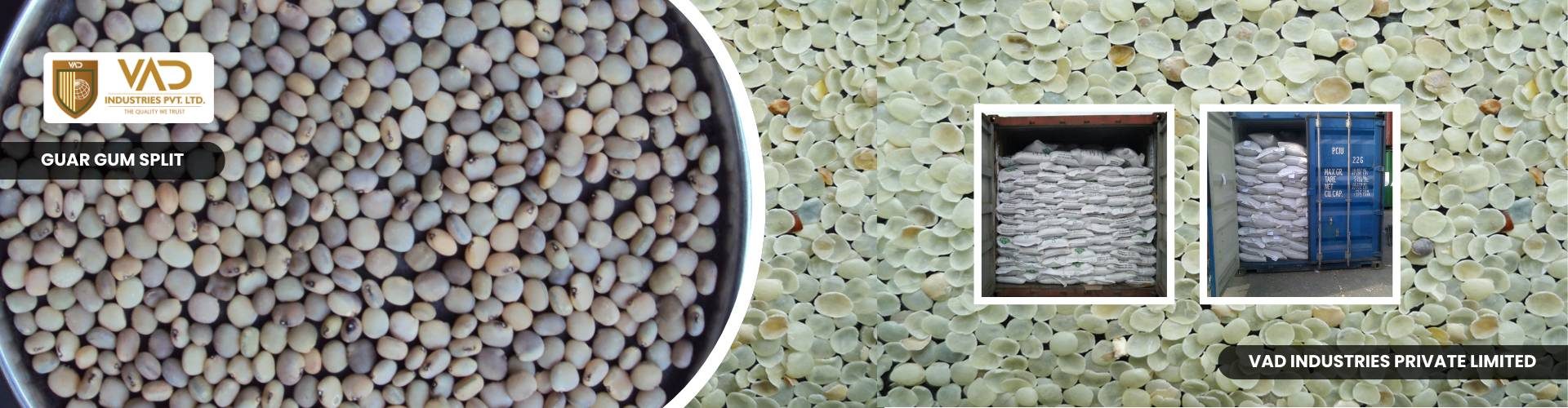 Guar Gum Split - Manufacturers - Suppliers - Exporters - Importers