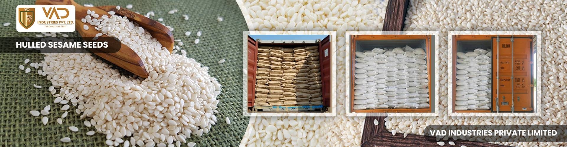 Hulled Sesame Seeds - Manufacturers - Suppliers - Exporters - Importers