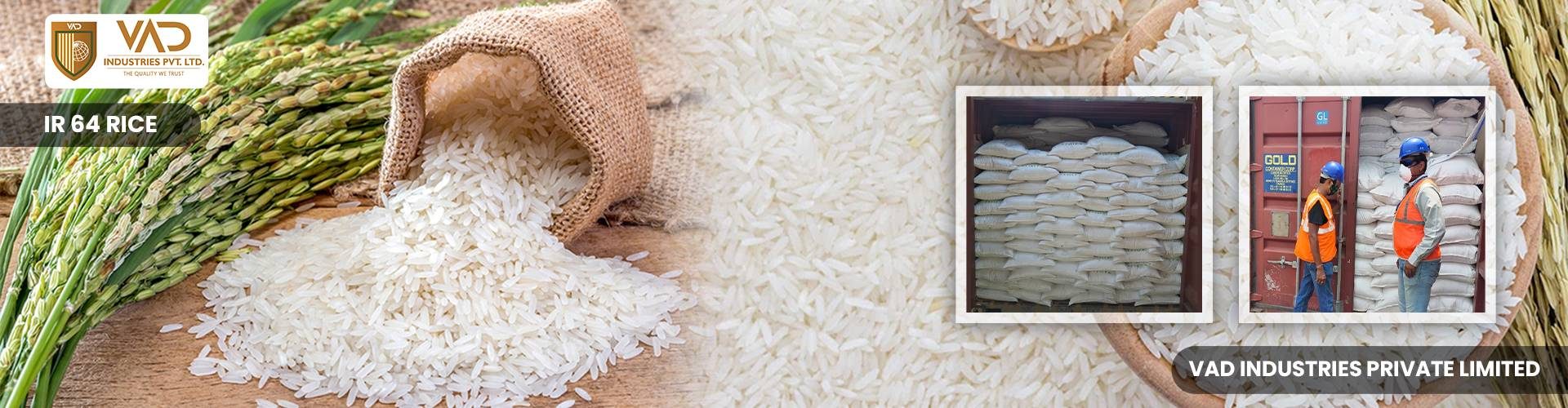 IR 64 Raw Rice - IR 64 Parboiled Rice - Manufacturers - Suppliers - Exporters - Importer