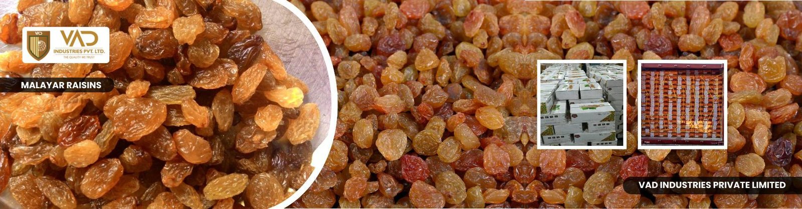 Malayar Raisins - Suppliers And Exporters In India