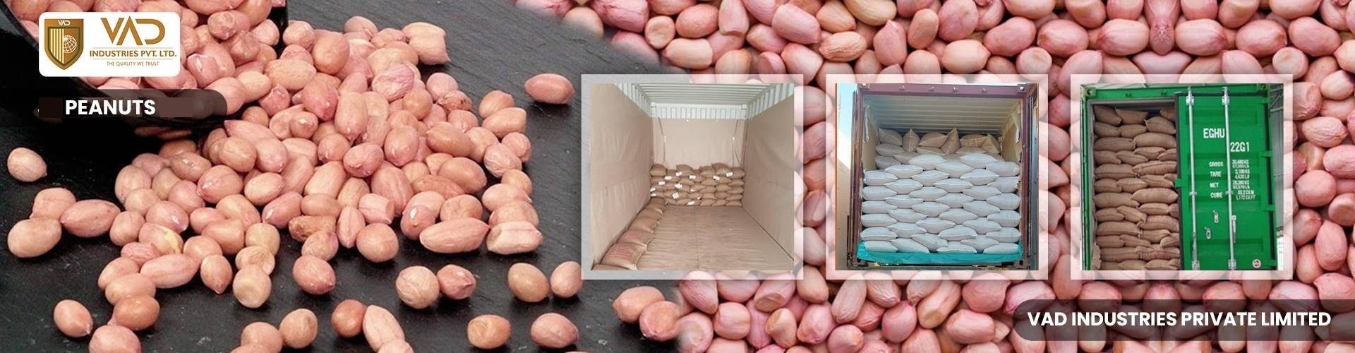 Peanuts-Suppliers-Manufacturers-Exporters-Importers