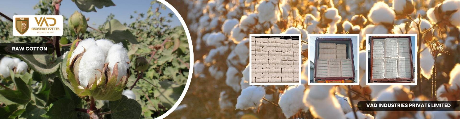 Raw Cotton - Cotton Bales - Manufacturers - Suppliers - Exporters - Importers