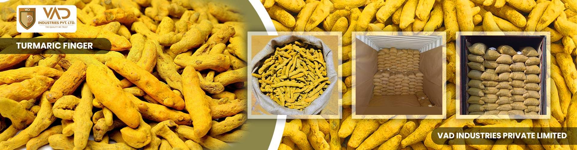 Turmeric Finger - Manufacturers - Suppliers - Exporters - Importers