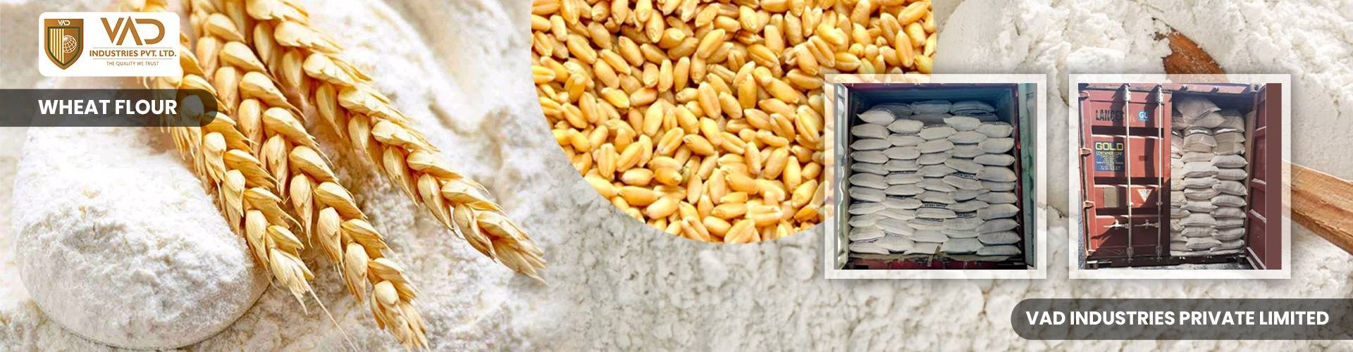 Wheat Flour - Manufacturers - Suppliers - Exporters - Importers